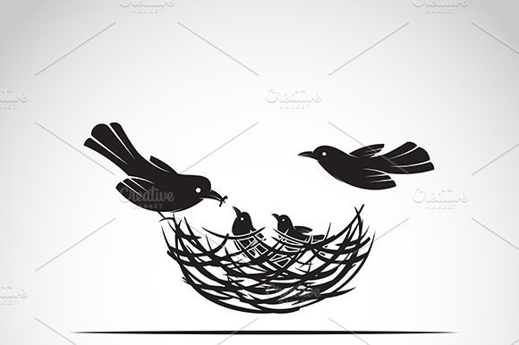 Vector Of Birds Family. Animals.