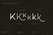 Wandery Modern x Vintage Typeface, a Sans Serif Font by Wandery Supply (Thumbnail 7 of 14)