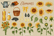Watercolor Sunflowers Clipart, an Illustration by Andre_Eva (Thumbnail 2 of 9)