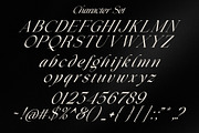 Henkau - Modern Luxury Italic Serif, a Serif Font by Sealoung (Thumbnail 9 of 9)