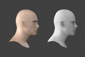 Natural Male Head 01 Generic Mesh