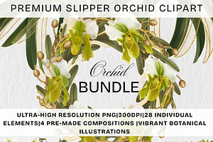 Slipper Orchid Botanical Clipart PNG