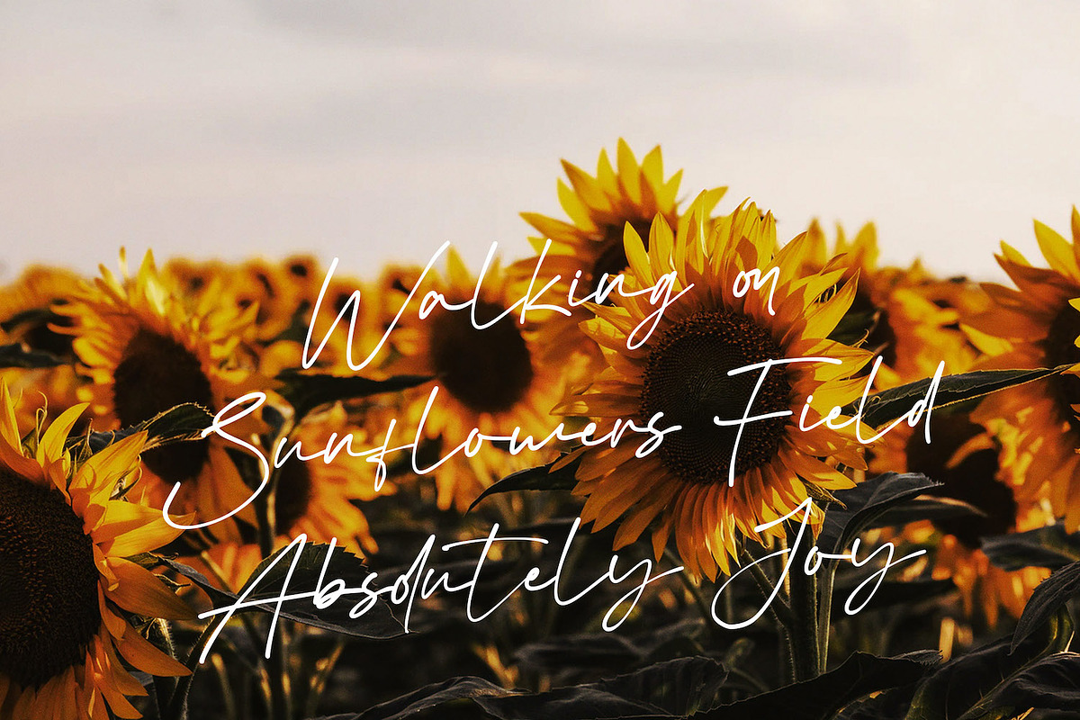 Virgi Theory - Handwritten Font, a Handwritten Font by StringLabs (Photo 7 of 11)