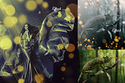 Bokeh Cinematic Effect, an Action Add-On by MRI STUDIO (Thumbnail 8 of 8)