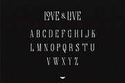 Love & Live, a Serif Font by Drizy (Thumbnail 6 of 8)