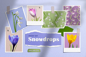 Snowdrops vector set
