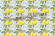 Lemon in botanical style, a Food Illustration by Ann Astro (Thumbnail 8 of 9)