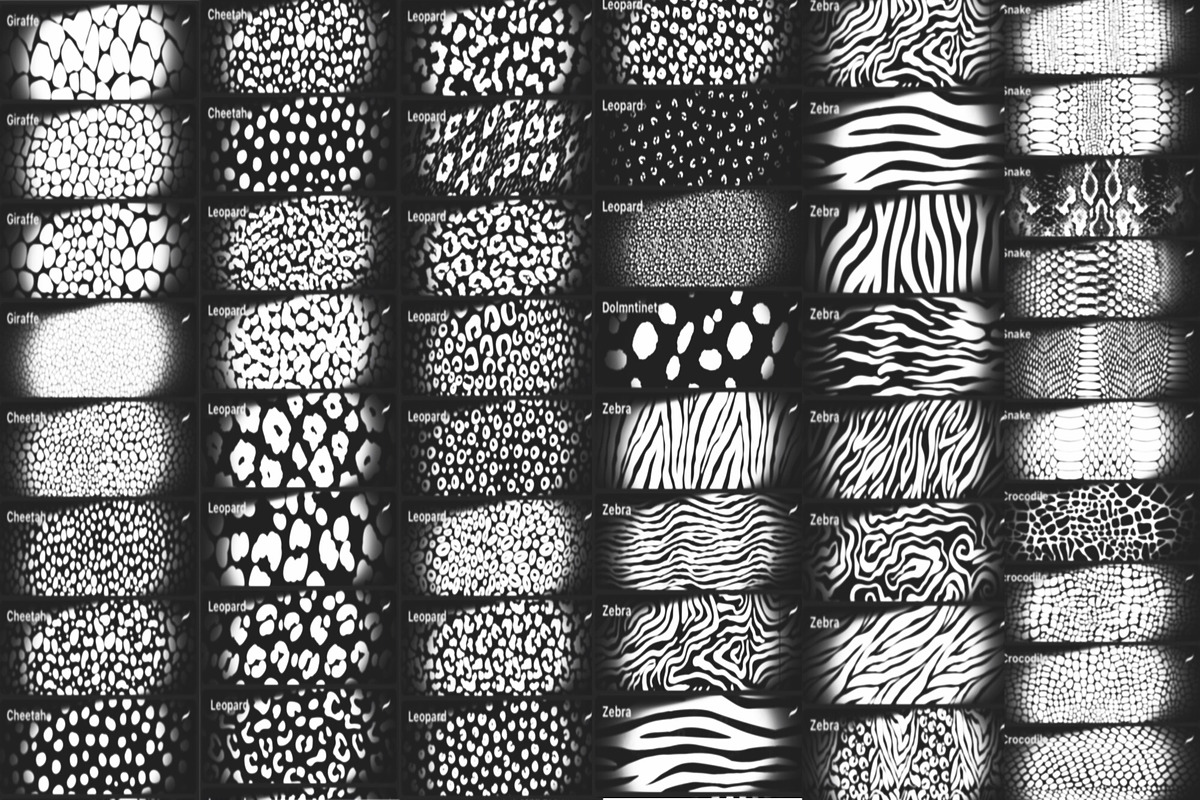 Seamless Animal Print Brush, a Brush Add-On by Elenbushe (Photo 2 of 11)