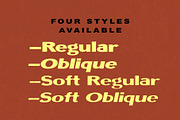 Badge Sans | Vintage Display, a Sans Serif Font by StudioWorks (Thumbnail 2 of 10)