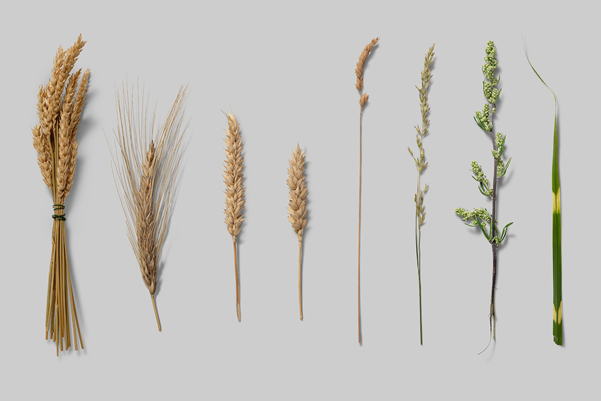 Nature Scene Generator, a Product Mockup by h3design (Photo 18 of 19)