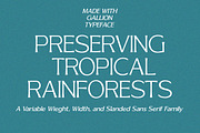 Gallion Pro, a Serif Font by MasaType (Thumbnail 2 of 11)