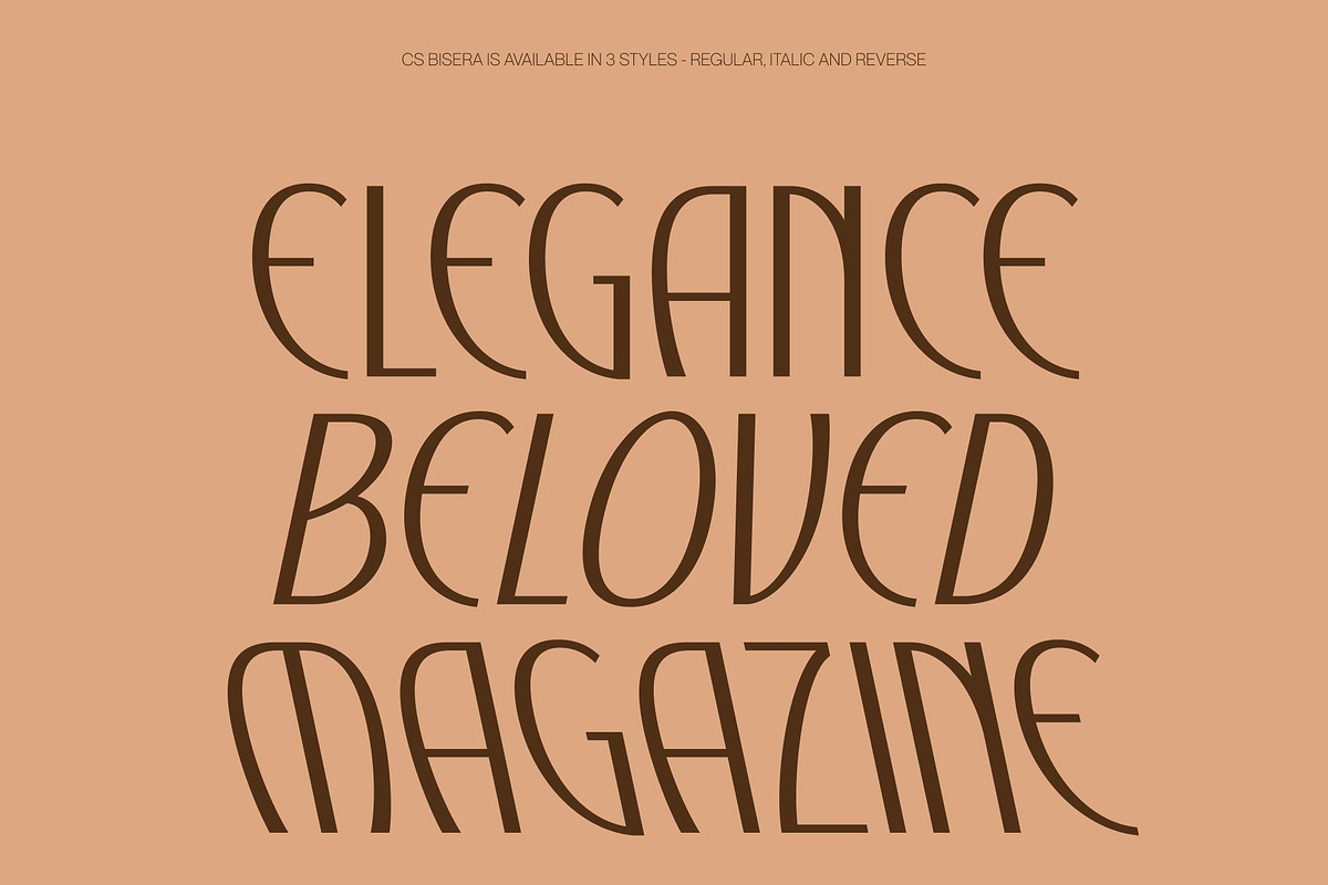 CS Bisera – Modern Sans Serif, a Sans Serif Font by Craft Supply Co. (Photo 3 of 8)