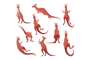 Kangaroo characters set in different, an Animal Illustration by the8monkey
