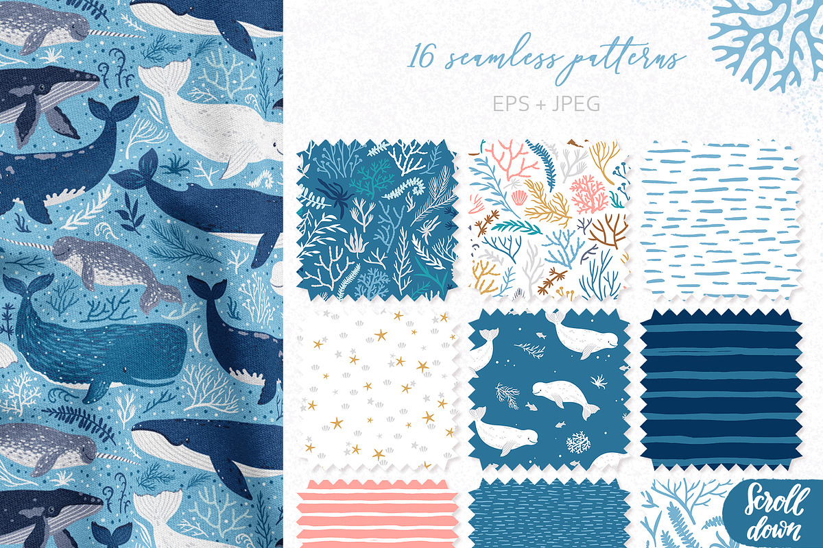 Cute Whales. Characters & patterns, an Animal Illustration by MagicForestory (Photo 5 of 12)
