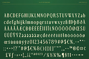 CS Reign Drawn, a Serif Font by Craft Supply Co. (Thumbnail 8 of 8)