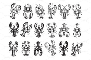 Lobsters in various top-down, a Food Illustration by yod67