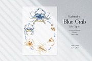 Watercolor Blue Crab Life Cycle Set, an Education Illustration by MayaNavits (Thumbnail 2 of 8)