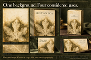 100 Organic Blurred Textures, a Background Graphic by Designertale (Thumbnail 12 of 12)