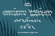 Borth Tropical Serif, a Serif Font by Black Junst (Thumbnail 7 of 13)