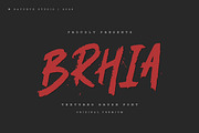 Brhia – Textured Brush Font, a Handwritten Font by Bayuktx (Thumbnail 1 of 8)