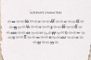 Honney | Cursive Handwritten Script, a Handwritten Font by Fontlicious (Thumbnail 6 of 7)