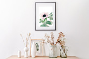 Floral Watercolor Bundle, an Object Graphic by JSolomatina (Thumbnail 11 of 23)