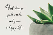 Fost Regard - Signature Script Font, a Script Font by Rishsketch (Thumbnail 6 of 13)