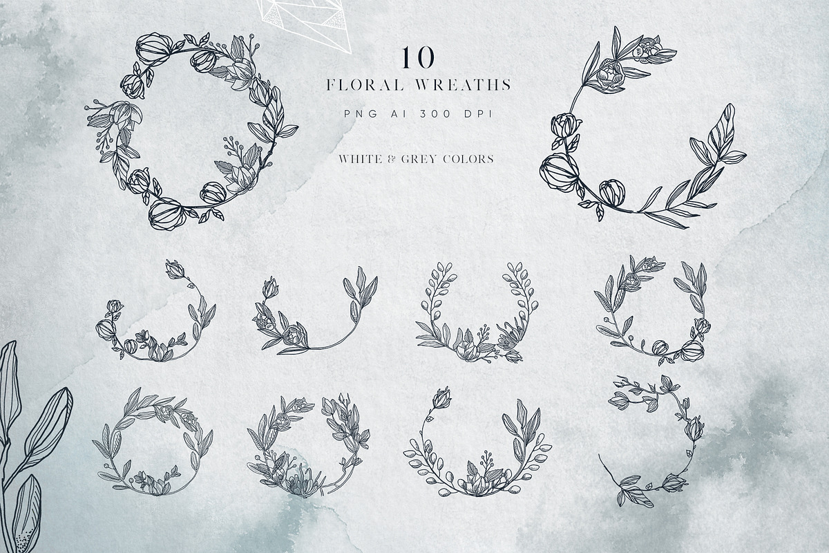 Lunare. Mysterious Graphic Set, an Animal Illustration by Muse Artist (Photo 4 of 16)