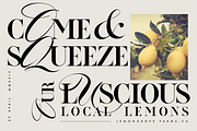 ZP APRIL - Luxury Hybrid Font, a Script Font by Zebra Press (Thumbnail 4 of 13)
