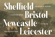Glagiste - Modern Bold Serif Font, a Serif Font by timelesstype.co (Thumbnail 5 of 20)