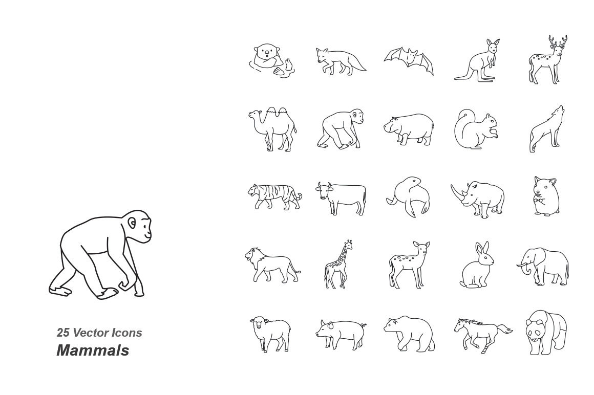 Mammals I Outlines vector icons, an Icon by Jisun Park