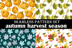 Set Of Autumn Harvest Season Pattern