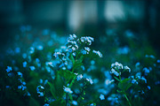 10 Dark tones presets for Lightroom, an Action Add-On by Elijah (Thumbnail 19 of 19)
