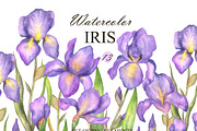 Watercolor Iris flower clipart, an Illustration by OlDm_Shop (Thumbnail 1 of 5)