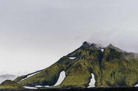 Fresh Icelandic Moss After The Rain preview 6
