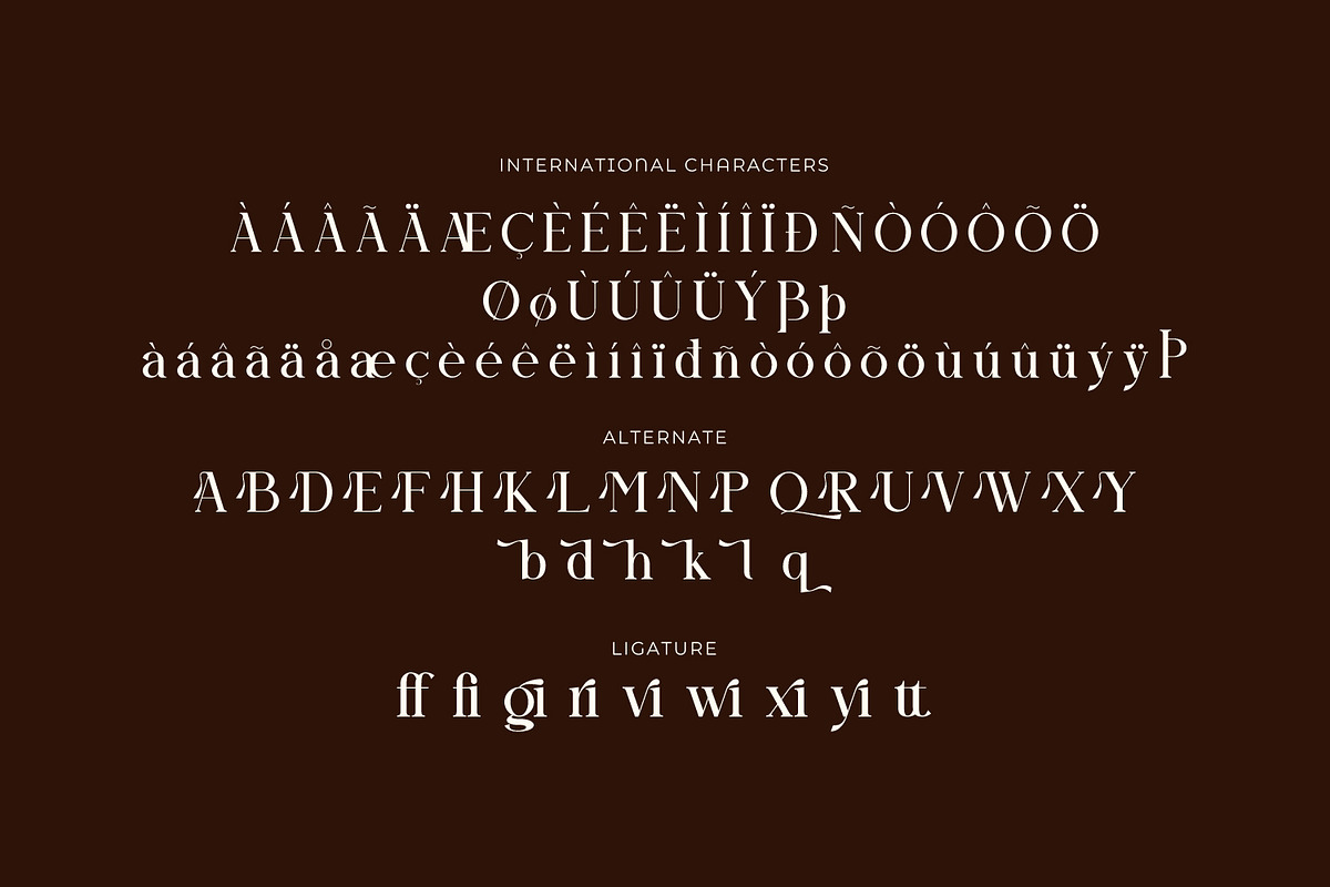 Qelvoria - Modern Serif Font, a Serif Font by Rishsketch (Photo 14 of 15)