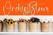 Blisk Orage, a Script Font by operatype.co (Thumbnail 5 of 15)