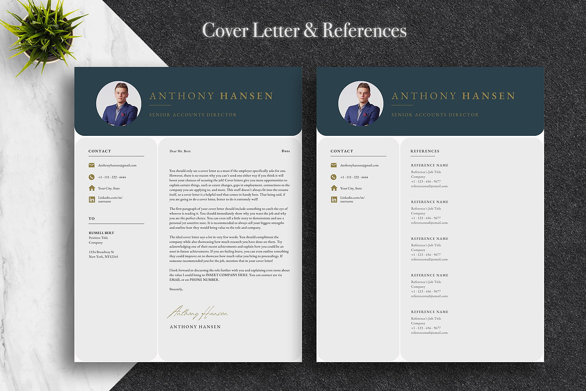 Professional Canva CV Template Pack, a Resume Template by Lux Resume (Photo 4 of 9)