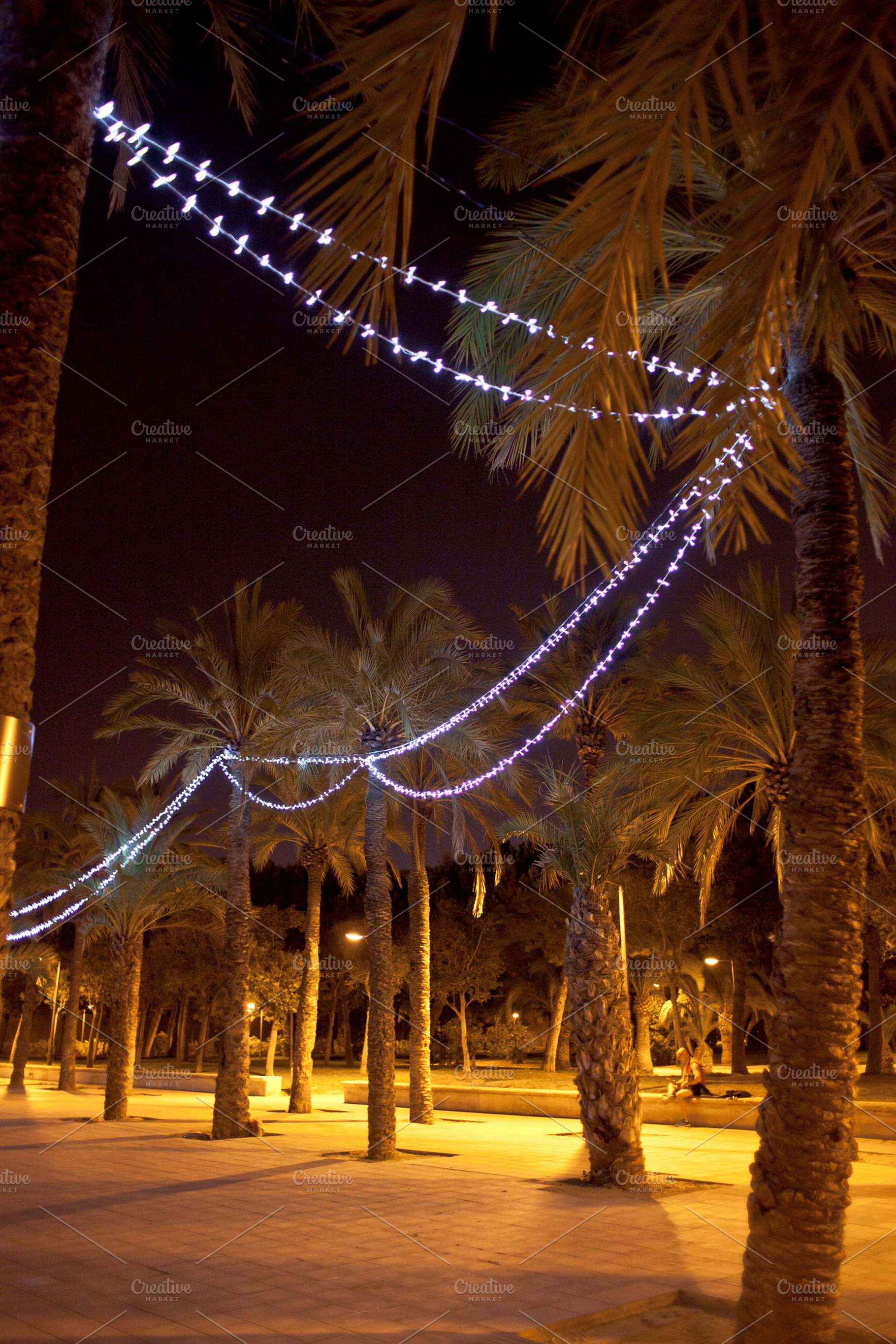 Park at night, an Arts & Entertainment Photo by BonVoyage