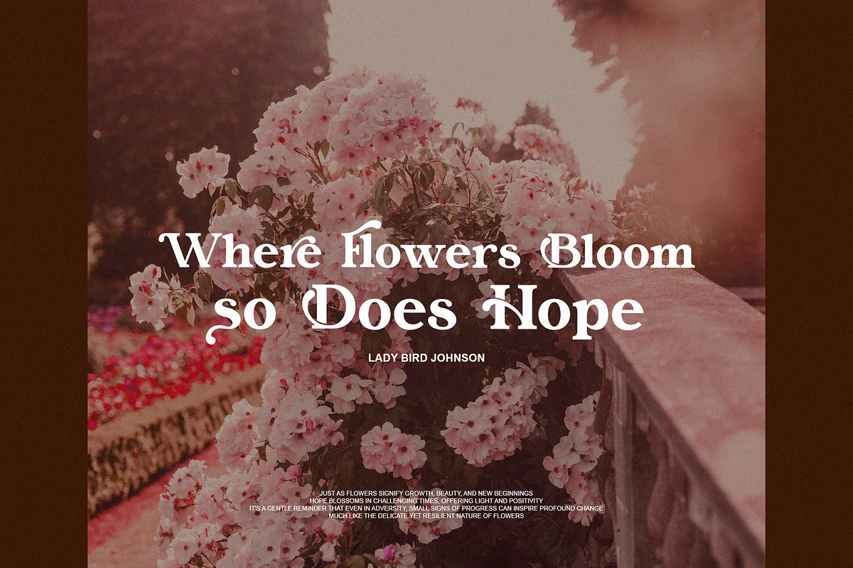 Morina Borick Elegant Ligature Serif, a Serif Font by Alfinart (Photo 3 of 10)