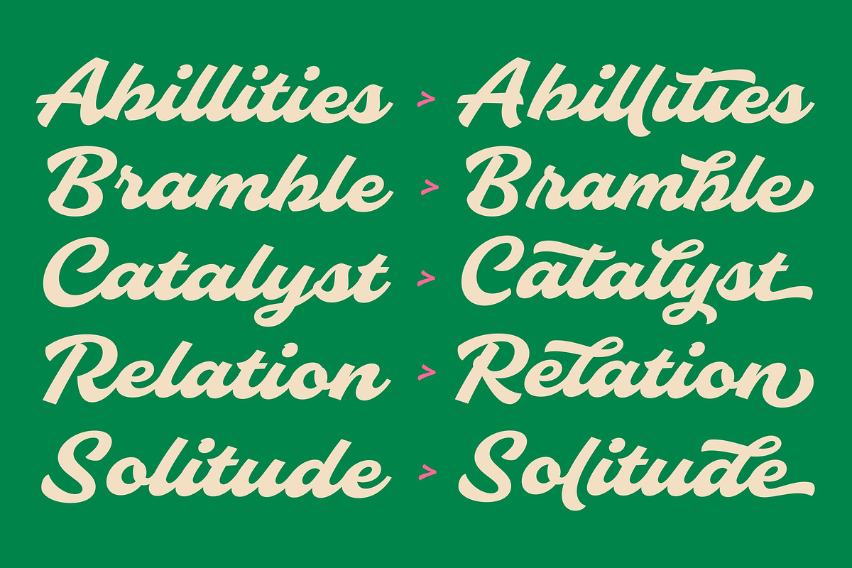 Slideback | Bold & Stylish Script, a Script Font by Glowtype (Photo 2 of 15)