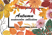 Autumn watercolor collection, an Illustration by ramika (Thumbnail 1 of 5)