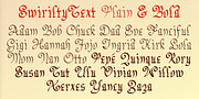 SwirlityText, a Blackletter Font by Ingrimayne Type (Thumbnail 4 of 9)