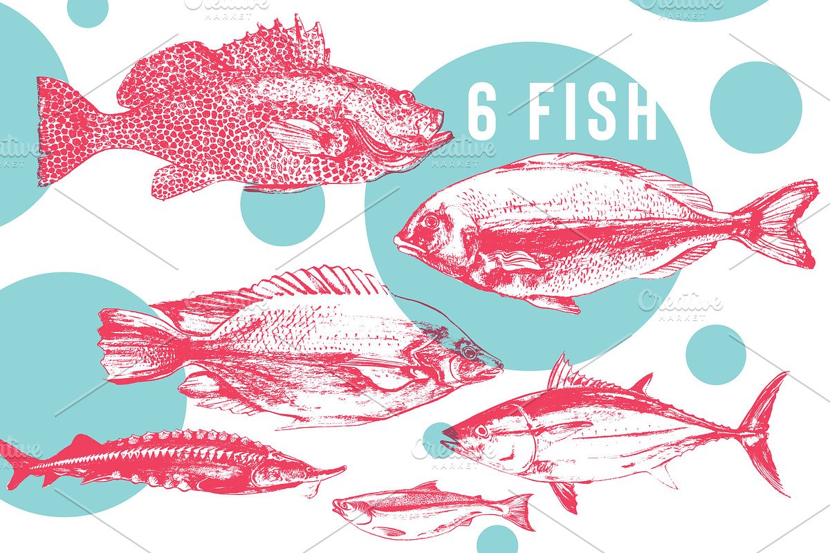 Fish, an Animal Illustration by Vera Holera (Photo 3 of 7)