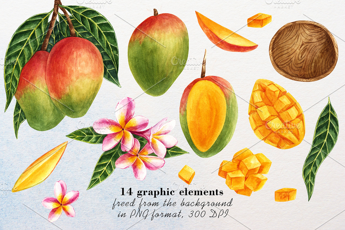 Mango watercolor clipart, a Food Illustration by a_ptichkina (Photo 2 of 4)