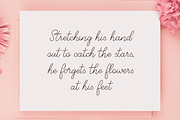Clara Cake Script + emoji font, a Handwritten Font by Type Tale (Thumbnail 2 of 11)