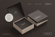Carolan Elegant Display Serif, a Serif Font by Creatype Studio (Thumbnail 8 of 10)