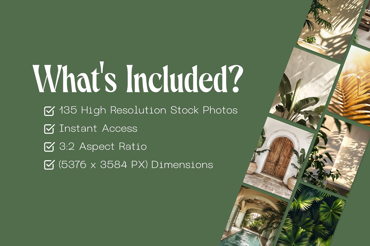 135 Green Leaves Stock Photos, a Nature Photo by Incomelion (Photo 2 of 7)