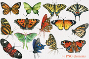 Butterfly watercolor set, an Illustration by Nastilustra (Thumbnail 2 of 3)