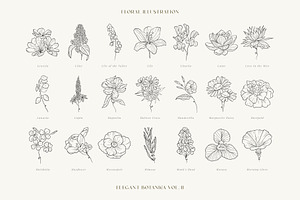 Elegant Botanica VOL.02